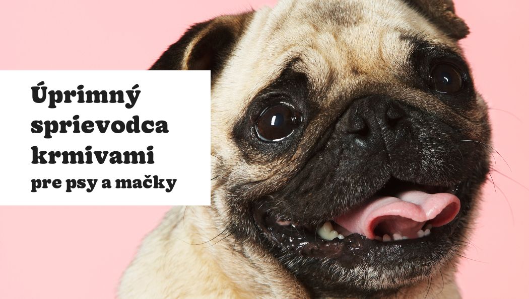 Rýchly a úprimný sprievodca krmivami na zuzalosk.info