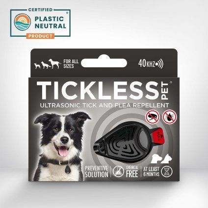 Pet black with background 2023 low resolution