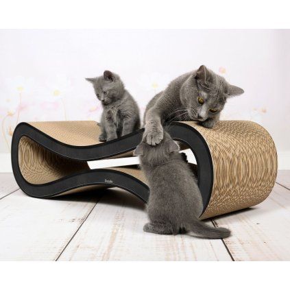 caton cat racer kartonove skrabadlo 3