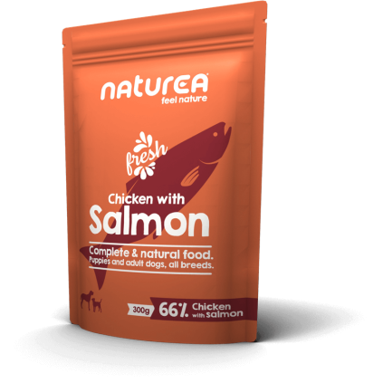 dog pouch chickensalmon 300g