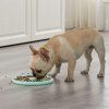 Outward Hound Fun Feeder Slo Tray spomaľovacia miska