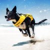 EZYDOG plávacia vesta pre psy DFD X2 BOOST