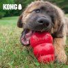 Kong Classic Granát hračka pre psy