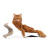 caton feline kartonove skrabadlo 4