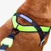Zee.dog No-Pull SofterWalk postroj proti ťahaniu Nox