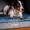 rexproduct pethome pelech so strieskou 10