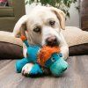 kong cozie lev 1