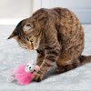kong cat flingaroo 2