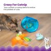 w15baaxjtqrldpnv2bxc 67974