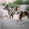 woolly wolf deep teal obojok 4