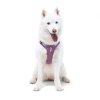 woolly wolf postroj mauve 3
