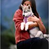 woolly wolf postroj mauve 6