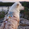 woolly wolf glacier green postroj 5