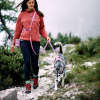 pamlskovnik mauve mix woolly wolf1