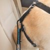 Kurgo Direct to Seatbelt Tether autopás pre psa - modrý