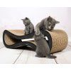 caton cat racer kartonove skrabadlo 3