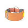Alpha 360 Collar, Golden Hour Mix (CLRAL109 L CLRAL109 M CLRAL109 S CLRAL109 XL) 1