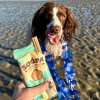 soopa paw na colada sticks .3