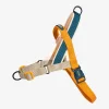 zeedog soft walk harness voyage main 1.jpg