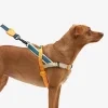 zeedog soft walk harness voyage main 6.jpg